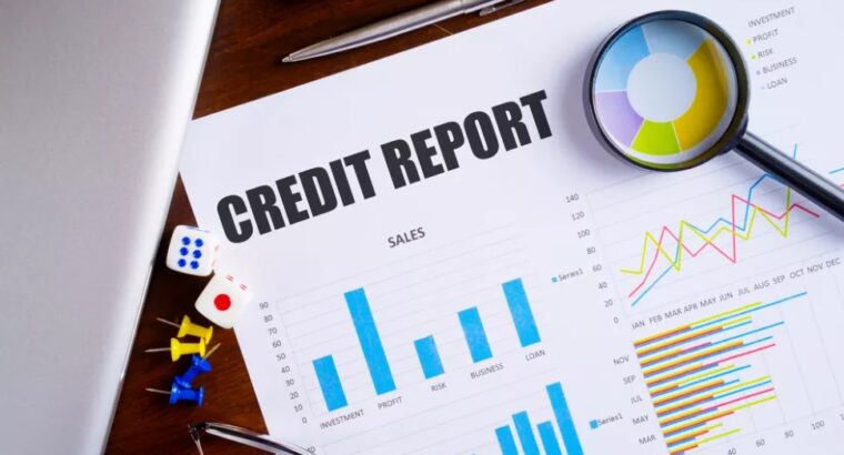Corporate Credit Information Report